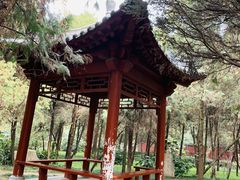 -南阳卧龙岗武侯祠