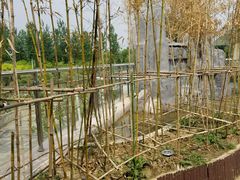 -燕郊植物园
