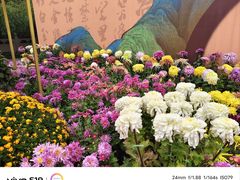 -中国翰园碑林