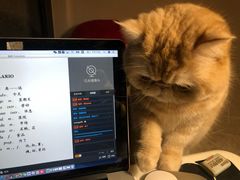 -全欧语言留学考试(德法西意俄南京总部校区)