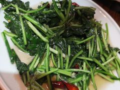 -云上千禾(水上店)
