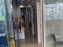-瑞派天使宠物医院·神经外科·骨科·核磁(洛川中路店)
