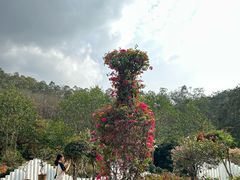 -东莞植物园
