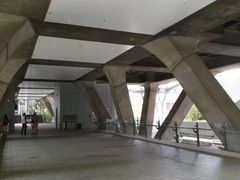 -香港大学