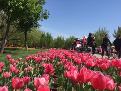 -长春公园(普阳街道)