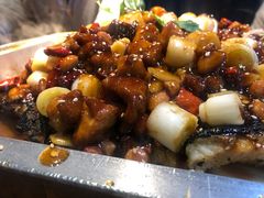 -锦尚阁烤鱼(望京新荟城店)