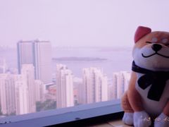 -柴犬小屋·柴餐厅·狗咖食堂(金鼎广场店)