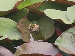 -国家植物园南园