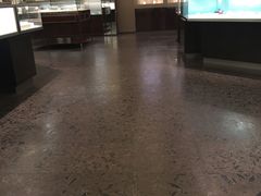 -Tiffany & Co.(银座本店)