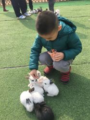 -萌宠亲子动物乐园(槐房万达店)