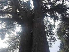 -终南山南五台景区