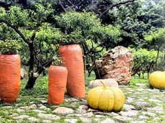 -广州市白云山风景名胜区