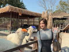 -珠海海泉湾神秘岛亲子乐园