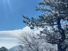 -安吉龙王山风景区