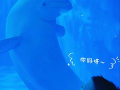 -多彩贵州城极地海洋世界