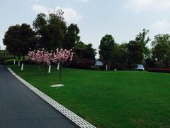 picture-天目湖涵田度假村