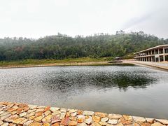-黄陂区野村谷景区