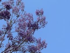 -攀枝花公园