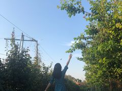 -意大利农场度假村