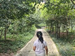 -东明山森林公园