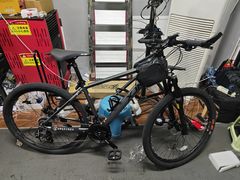 -道路口单车爱瓦士dahon大行