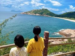 -广东惠东海龟国家级自然保护区
