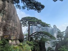 -黄山风景区