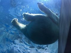 -广东省拱北口岸中国旅行社(华宾营业部)