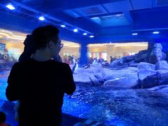 -上海滴水湖皇冠假日酒店