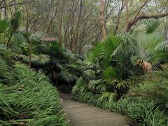 -重庆彩云湖湿地公园