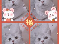 -美联众合动物医院·伴可分院·内科中心医院