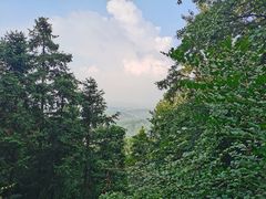 -冶父山国家森林公园