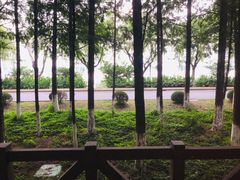 -太阳岛度假酒店