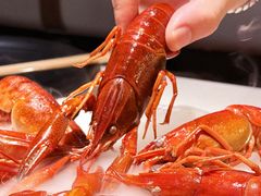 -红盔甲·小龙虾(天钥桥店)