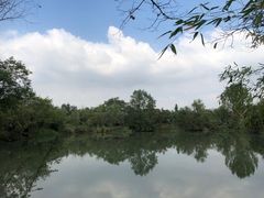 -西溪国家湿地公园