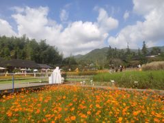 -宁波浙东大竹海景区