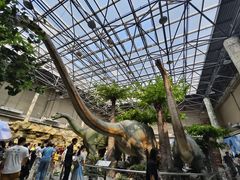 -国家自然博物馆