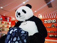 -熊猫邮局(少城店)