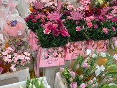 -山姆会员商店(上海浦东店)