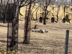 -秦皇岛野生动物园
