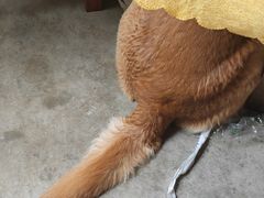 -鹿福农庄(南沙天后宫店)