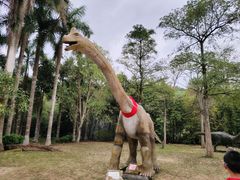 -南宁良凤江国家森林公园