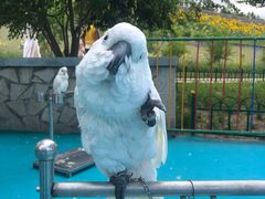 -鄂尔多斯野生动物园