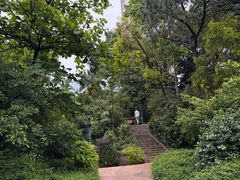 -九龙公园