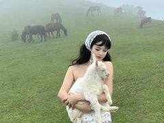 -大姆山草场