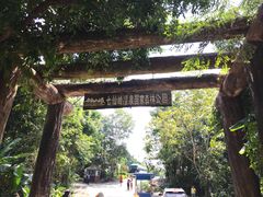 -七仙岭温泉国家森林公园