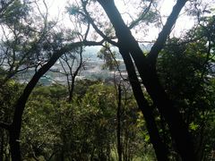 -金鸡山公园