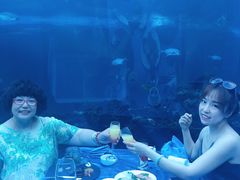 -海棠湾洲际-涛·海底餐厅·美人鱼·自助餐·海底隧道