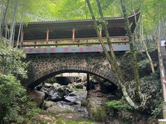 -藏龙百瀑风景区