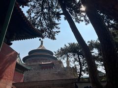 -普乐寺